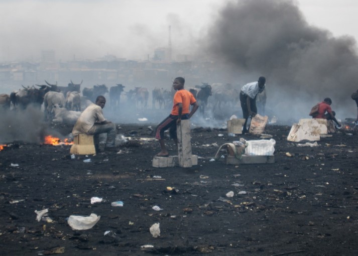 Advancing Environmental and Occupational Health Through Research and Innovation in West and Central Africa